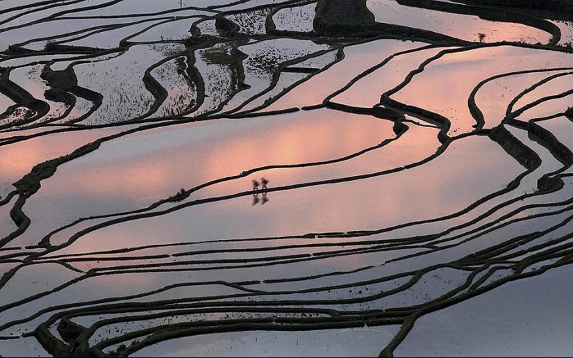 Las terrazas de arroz de Honghe Hani inscritas en la Lista del Patrimonio Mundial de la UNESCO