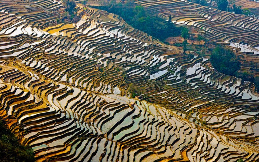 Las terrazas de arroz de Honghe Hani inscritas en la Lista del Patrimonio Mundial de la UNESCO