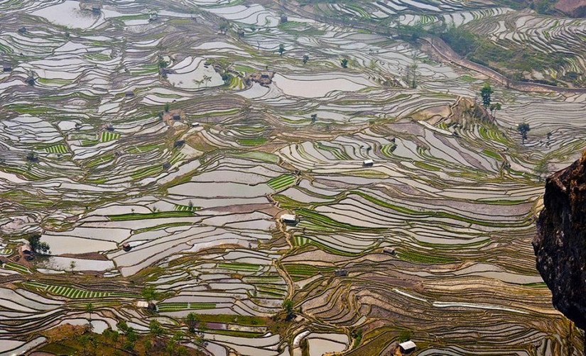 Las terrazas de arroz de Honghe Hani inscritas en la Lista del Patrimonio Mundial de la UNESCO