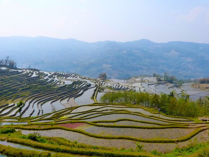 Las terrazas de arroz de Honghe Hani inscritas en la Lista del Patrimonio Mundial de la UNESCO