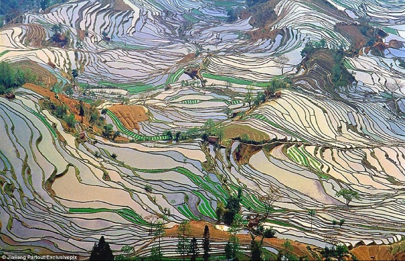 Las terrazas de arroz de Honghe Hani inscritas en la Lista del Patrimonio Mundial de la UNESCO