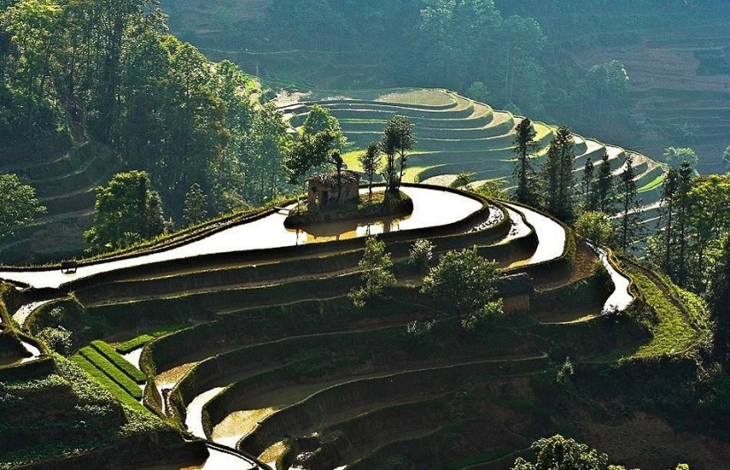 Las terrazas de arroz de Honghe Hani inscritas en la Lista del Patrimonio Mundial de la UNESCO
