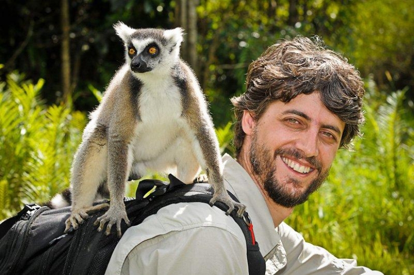 Lemur self-portraits