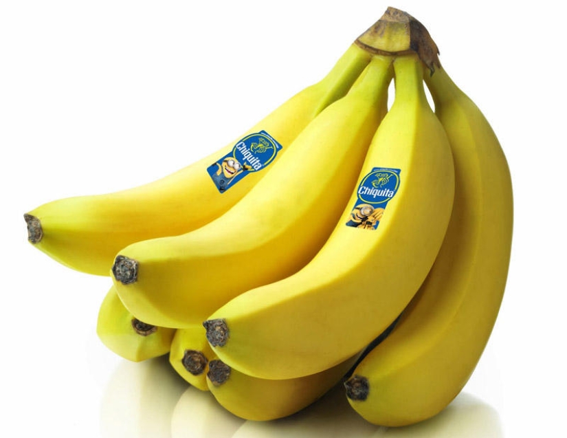 Life hacks that lazy people gave to the world