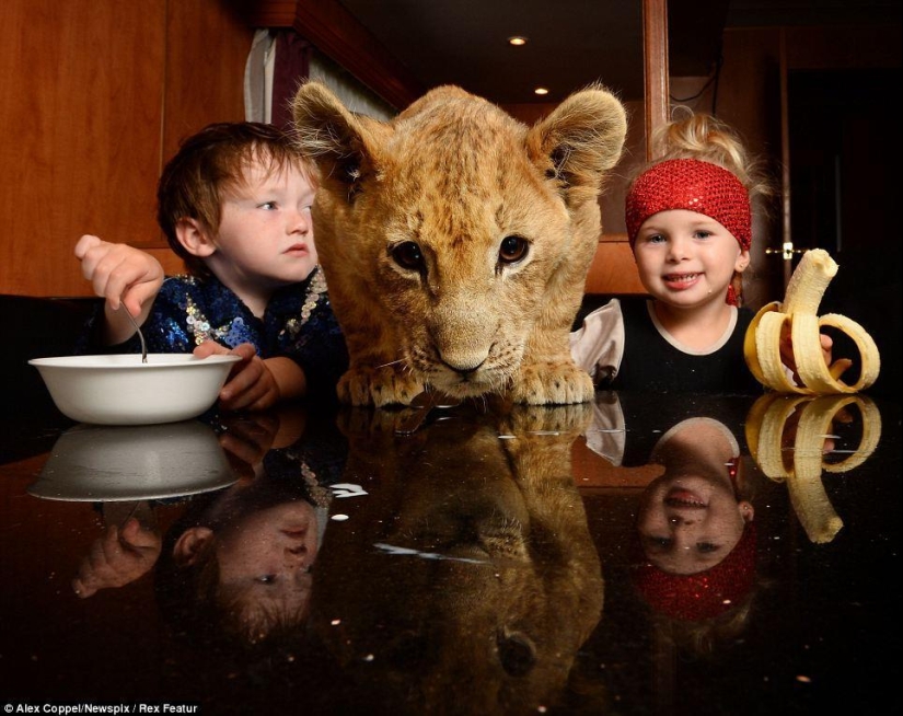Little circus performer and his pet lion cub Tsimbi