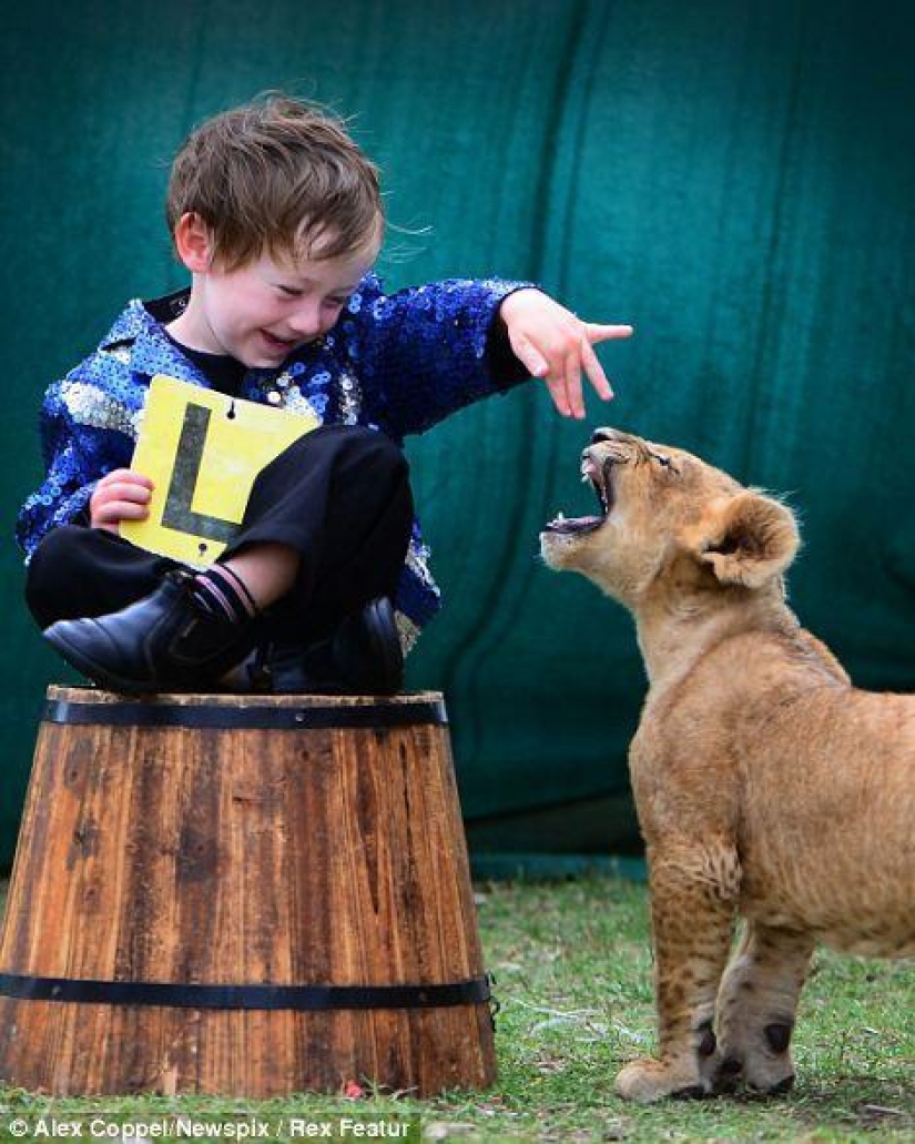 Little circus performer and his pet lion cub Tsimbi