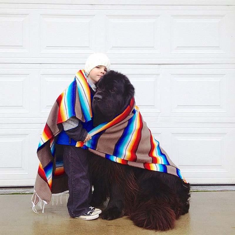 Little friend, big friend Little friend, big friend