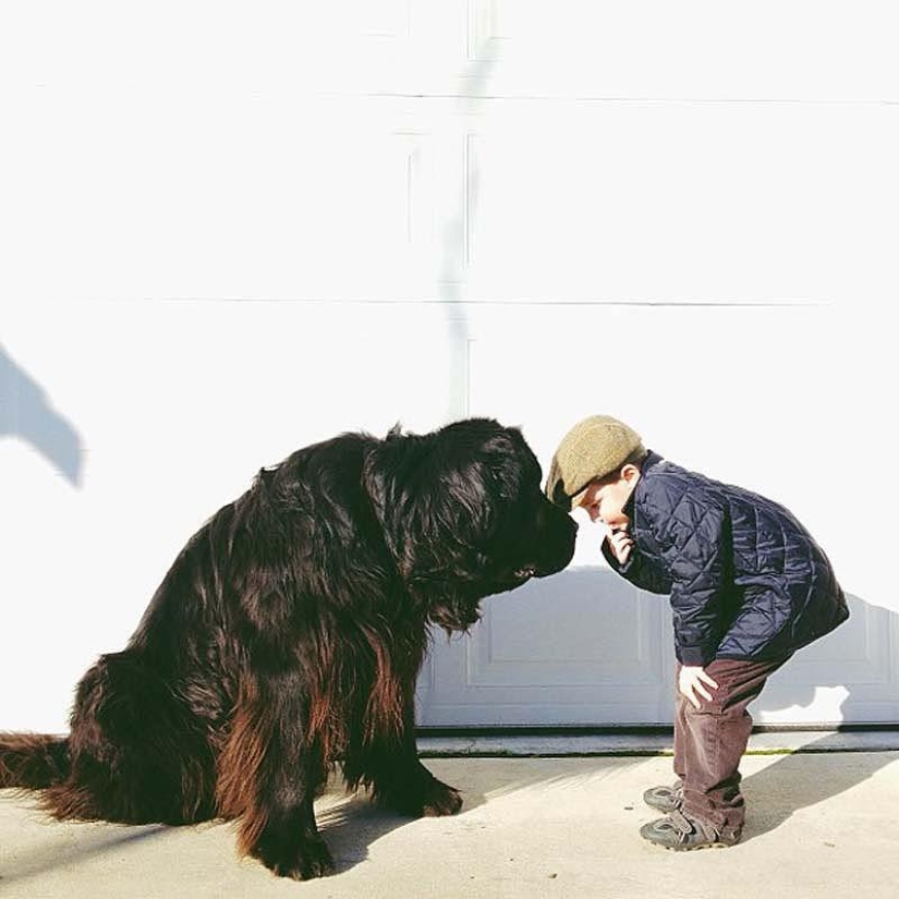 Little friend, big friend Little friend, big friend