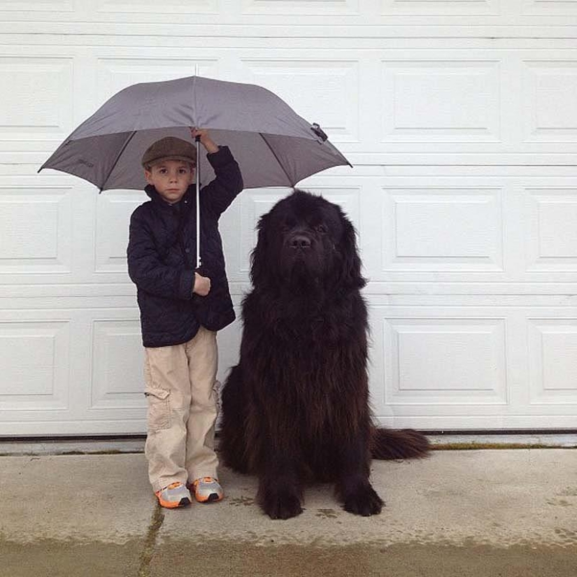 Little friend, big friend Little friend, big friend