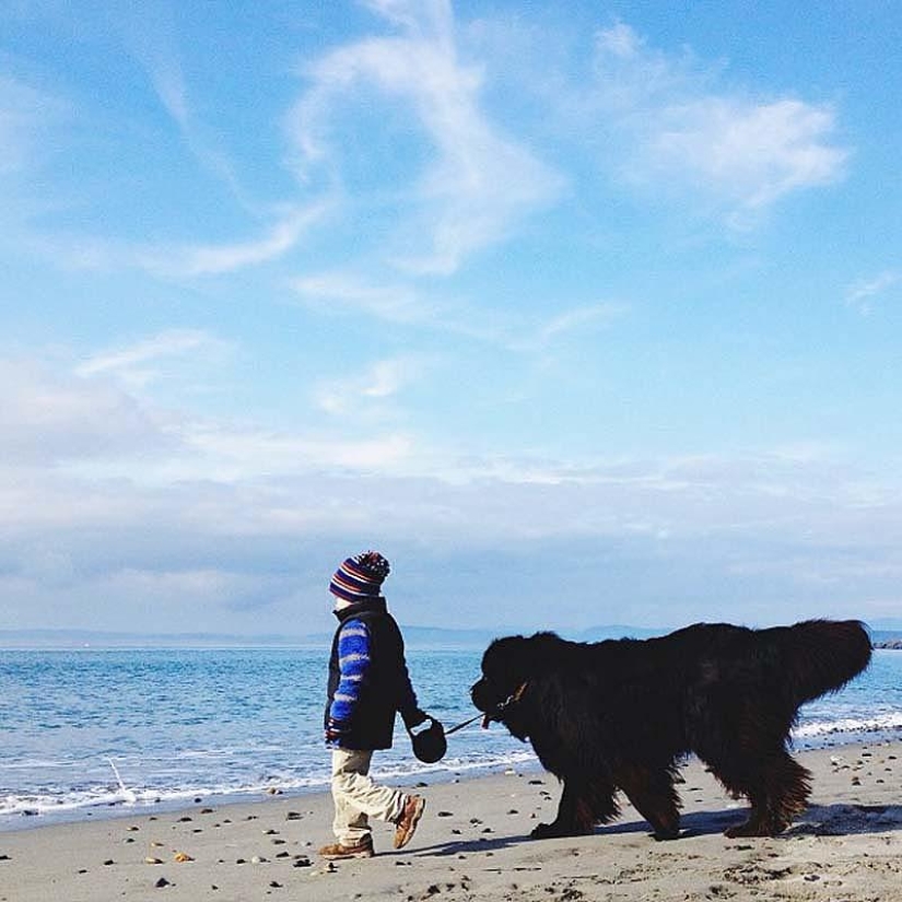 Little friend, big friend Little friend, big friend