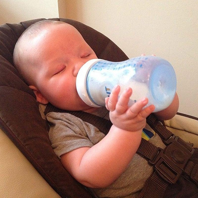 Little Pastafarians and their Food Religion Colleagues Little Pastafarians and their Food Religion Colleagues