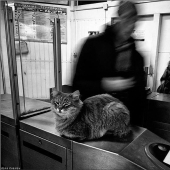 Little stories of the big metro