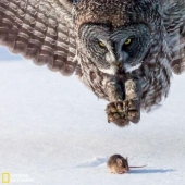 Lo que es muerte para uno es vida para otro