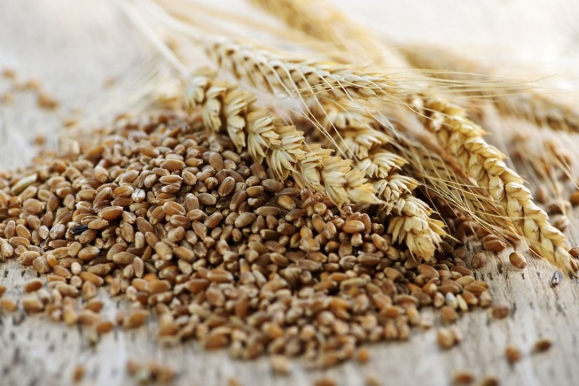 Los 10 mejores alimentos para un cabello saludable