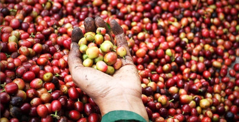 Los 10 productos más caros del mundo Los 10 productos más caros del mundo