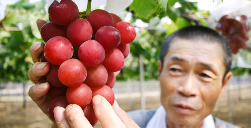Los 10 productos más caros del mundo Los 10 productos más caros del mundo