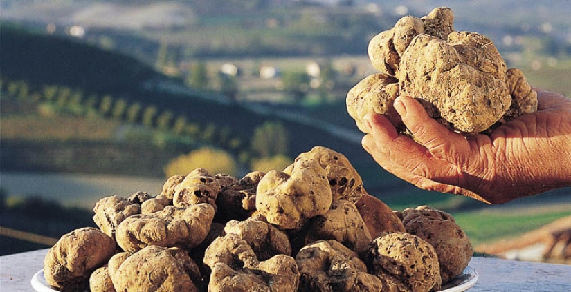 Los 10 productos más caros del mundo Los 10 productos más caros del mundo