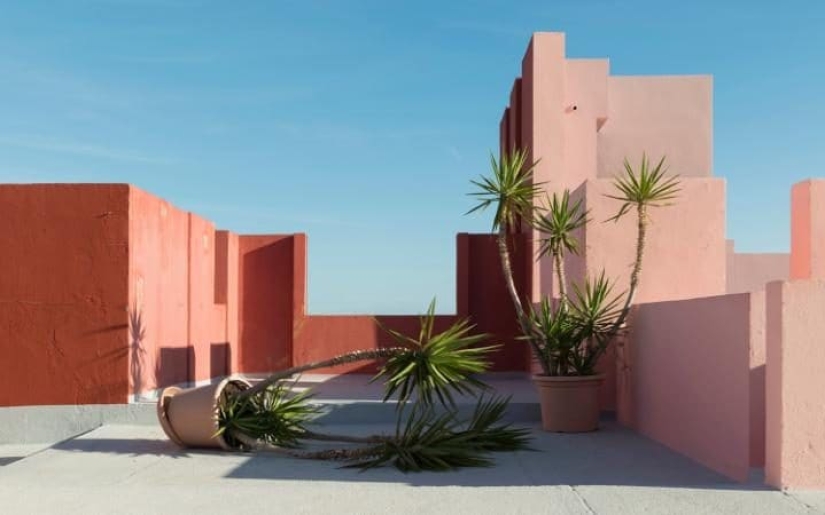 los 33 finalistas del concurso fotográfico Sony World Photography Awards 2017