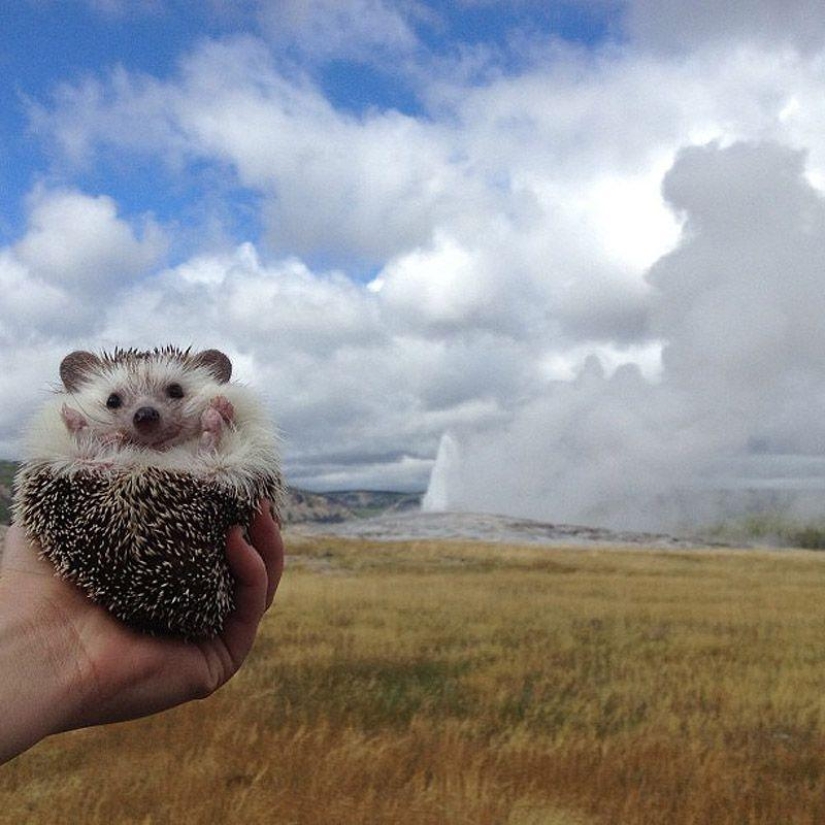 Los 43 Instagrams más conmovedores de 2013