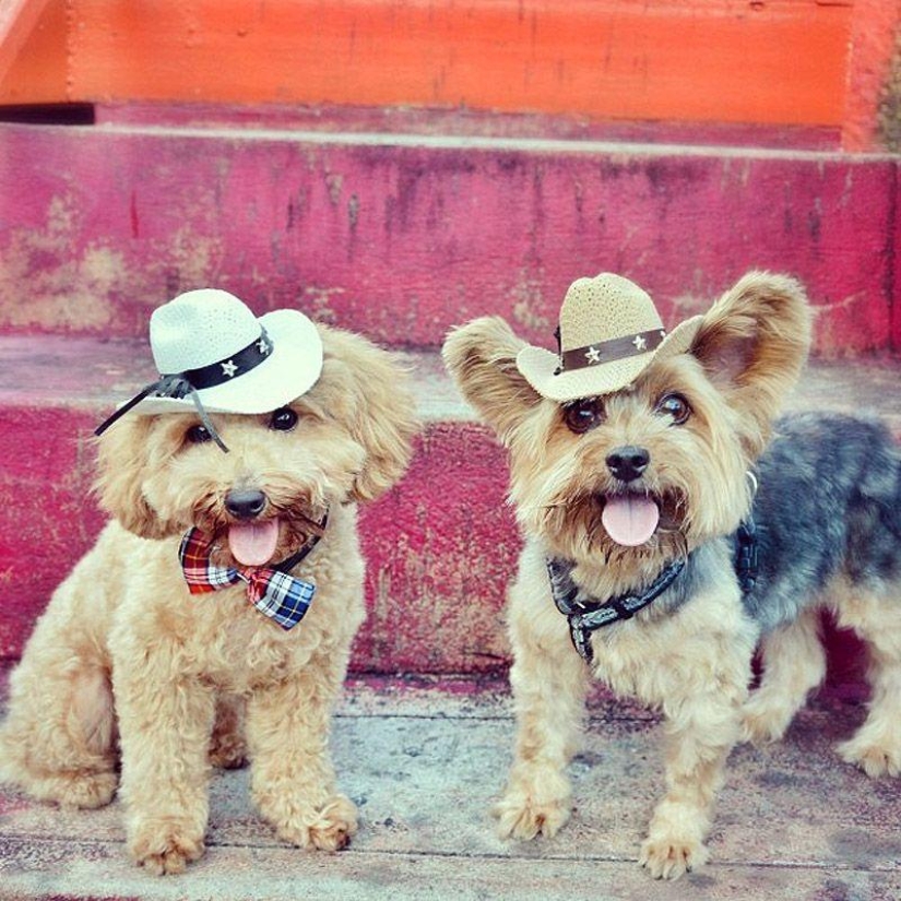 Los 43 Instagrams más conmovedores de 2013