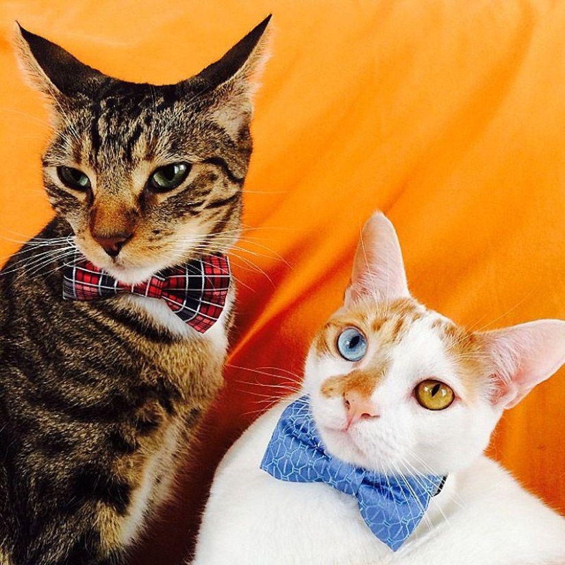 Los 43 Instagrams más conmovedores de 2013