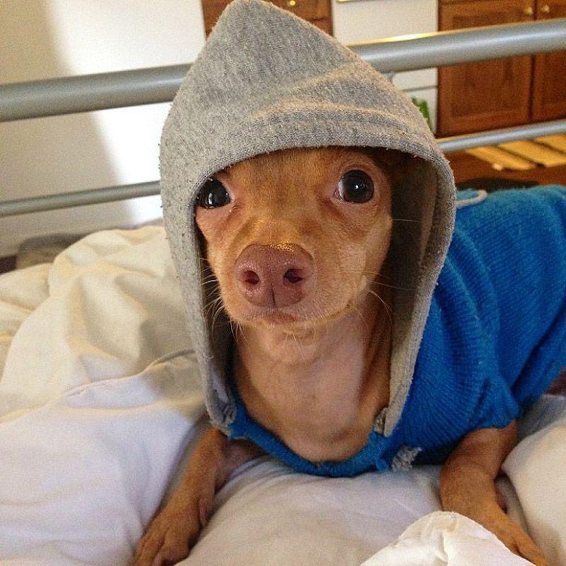 Los 43 Instagrams más conmovedores de 2013