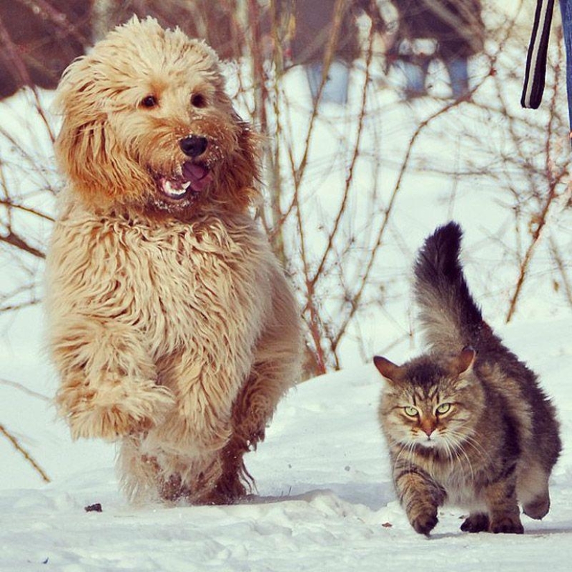 Los 43 Instagrams más conmovedores de 2013