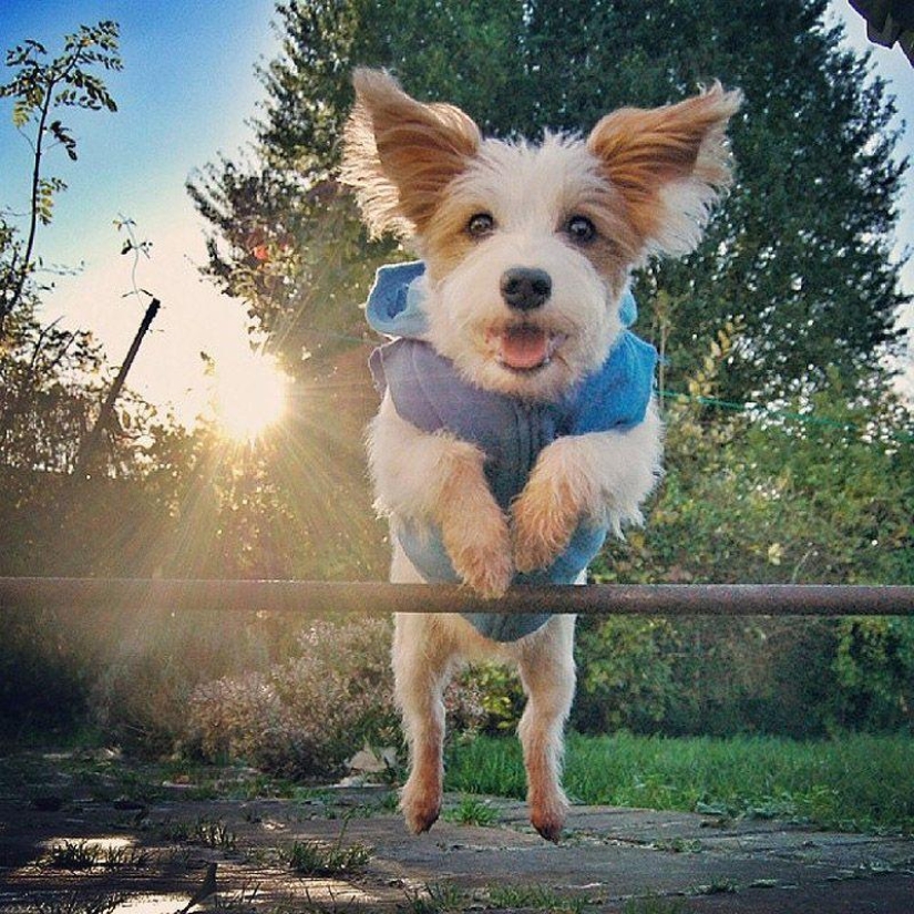 Los 43 Instagrams más conmovedores de 2013