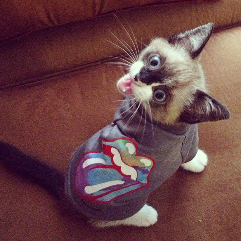 Los 43 Instagrams más conmovedores de 2013