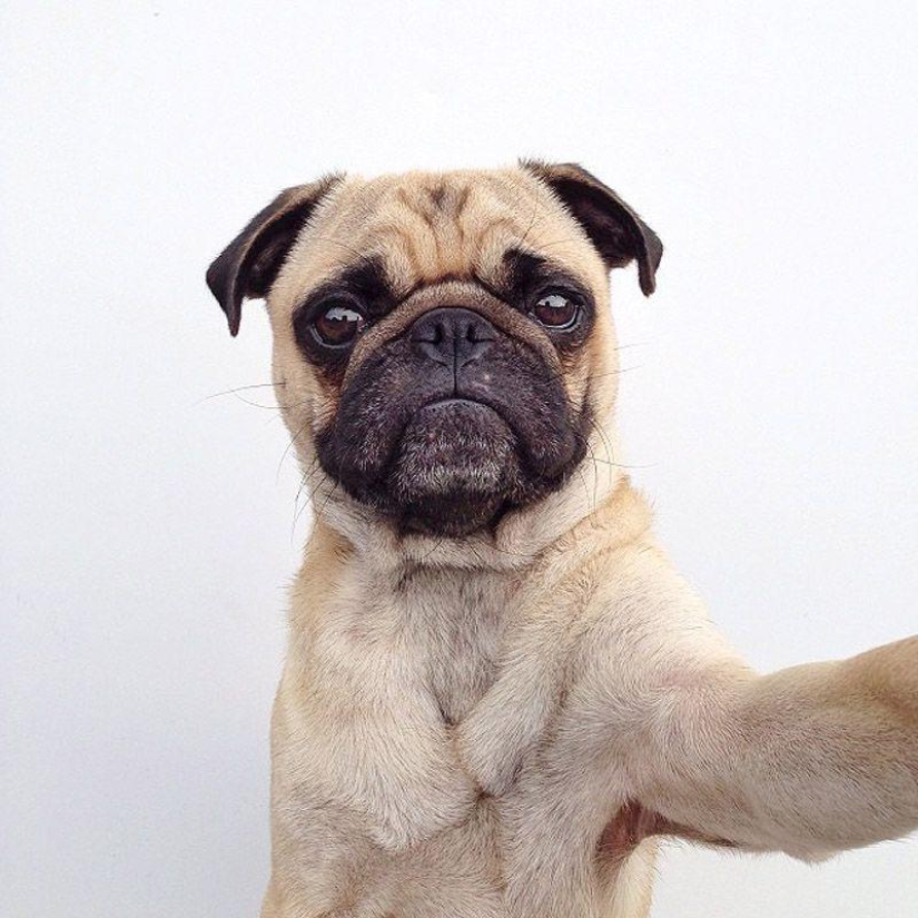 Los 43 Instagrams más conmovedores de 2013