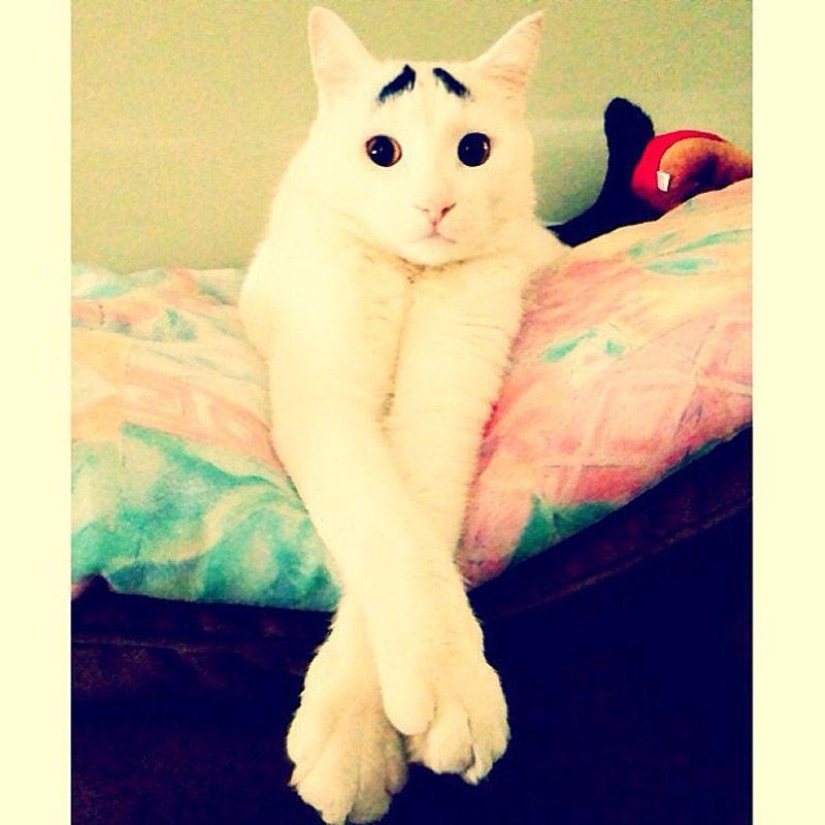 Los 43 Instagrams más conmovedores de 2013