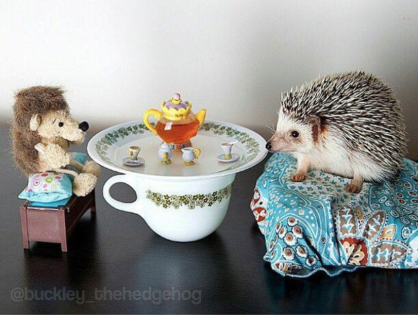 Los 43 Instagrams más conmovedores de 2013