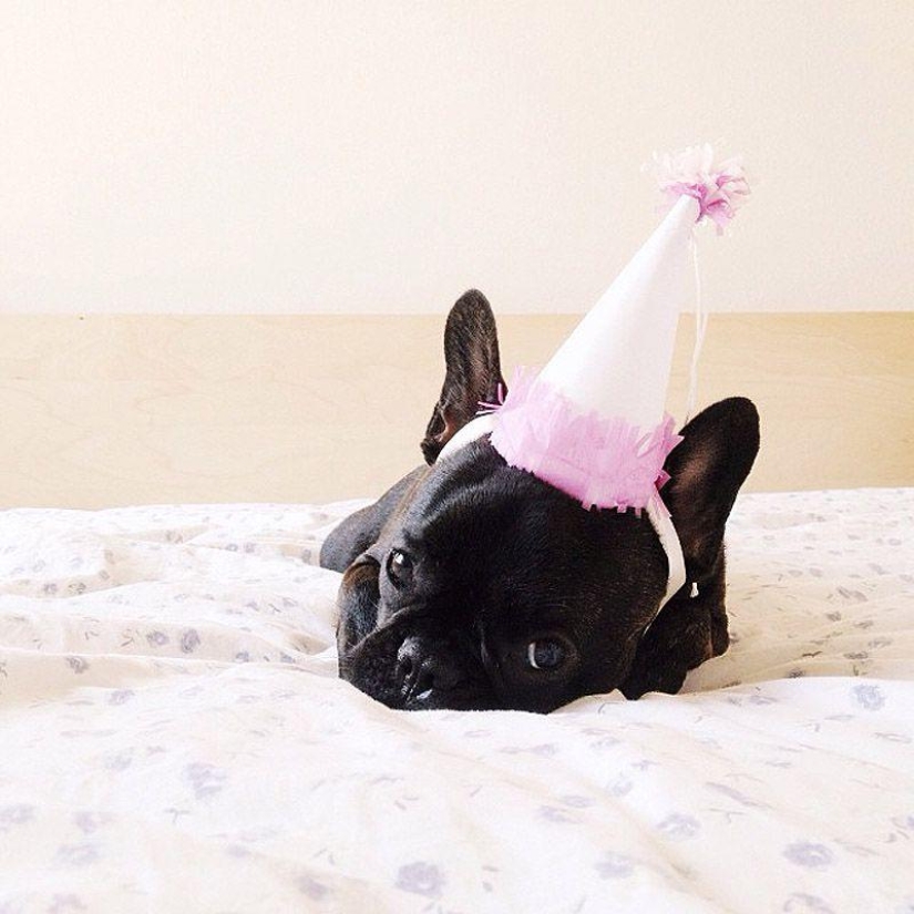 Los 43 Instagrams más conmovedores de 2013