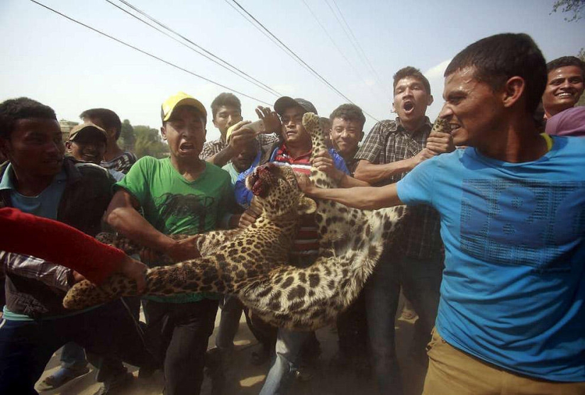 Los 59 mejores fotoperiodistas de 2013