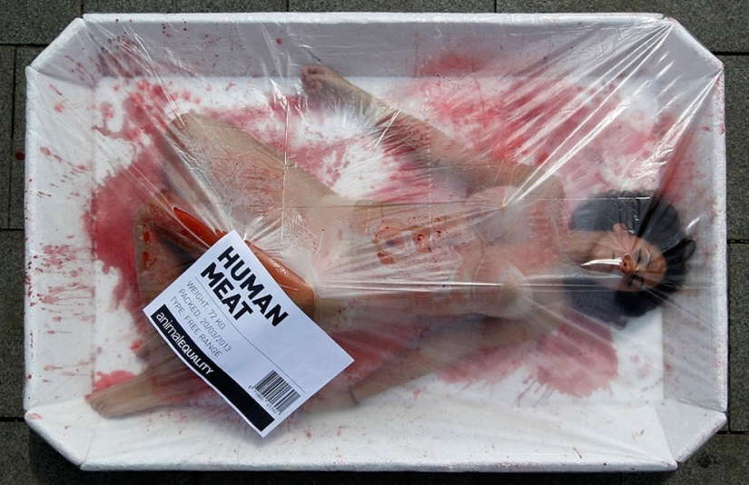 Los 59 mejores fotoperiodistas de 2013