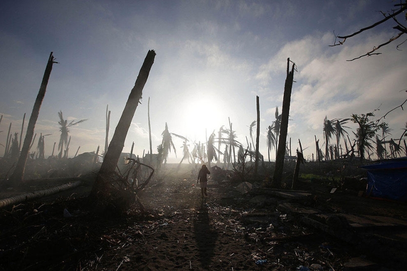 Los 59 mejores fotoperiodistas de 2013