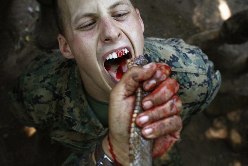 Los 59 mejores fotoperiodistas de 2013