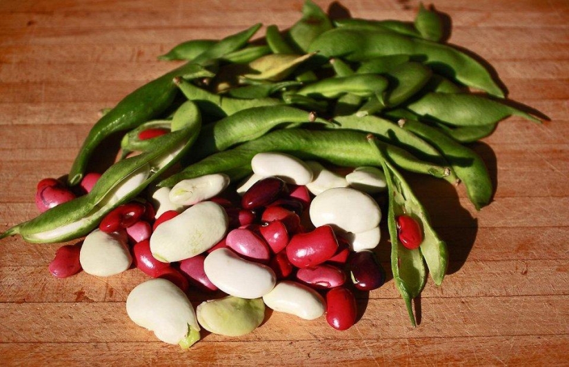 Los 8 ingredientes más populares en la cocina italiana