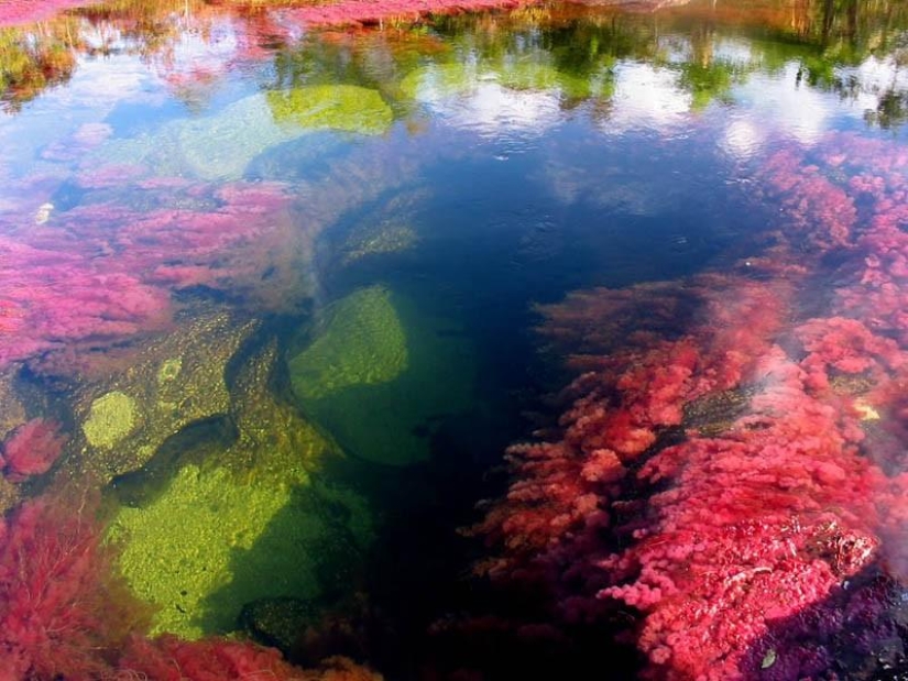 Los 8 paisajes acuáticos más bellos del mundo Los 8 paisajes acuáticos más bellos del mundo