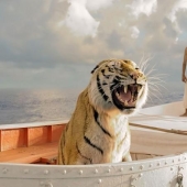 Los actores de cine de animales más famosos