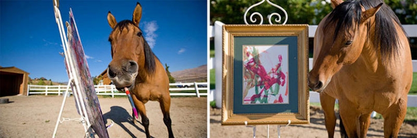 Los animales que hicieron estallar Internet Los animales que hicieron estallar Internet