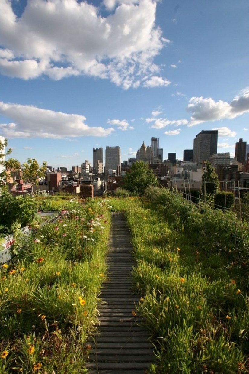 Los balcones y terrazas más bonitos de Nueva York