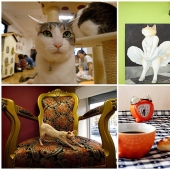 Los cafés "gatos" más inusuales de todo el mundo.