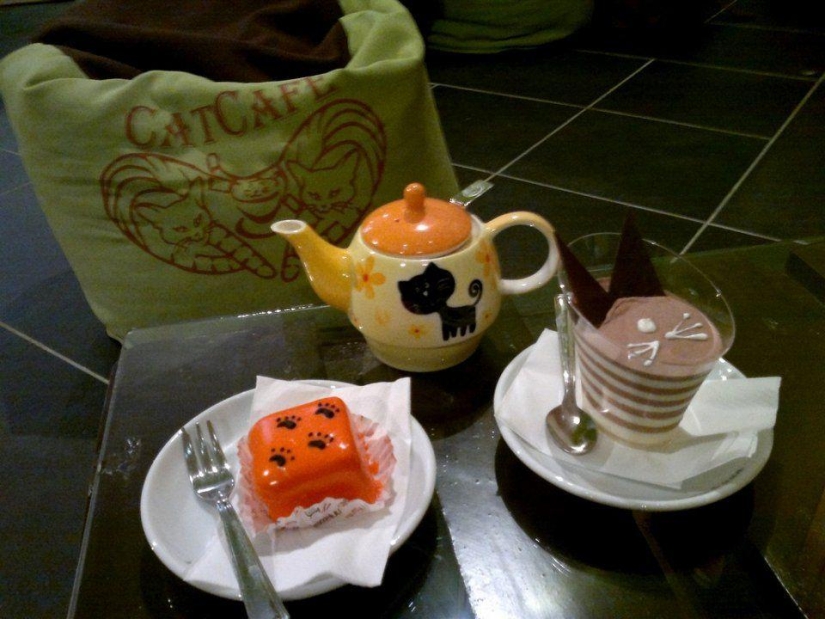 Los cafés "gatos" más inusuales de todo el mundo. Los cafés "gatos" más inusuales de todo el mundo.