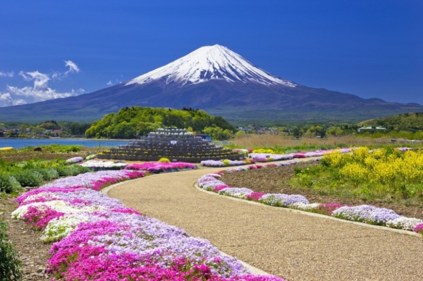 Los cerezos en flor no son los únicos en Japón en primavera