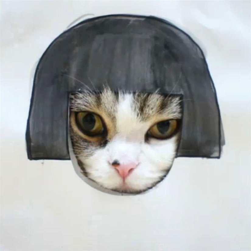 Los cinco gatos más famosos de Internet