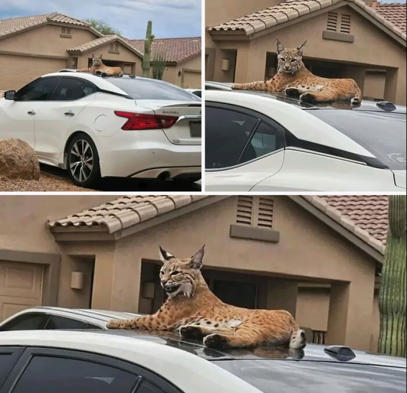 Los empleados comparten fotografías de desastres en el lugar de trabajo, aquí están los 10 peores