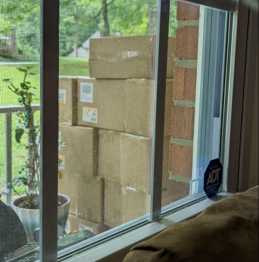 Los empleados comparten fotografías de desastres en el lugar de trabajo, aquí están los 10 peores