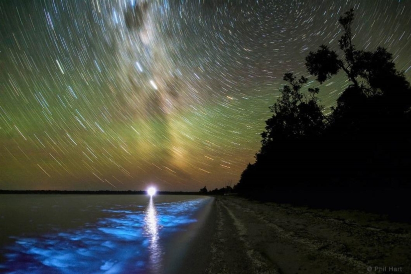 Los ganadores del concurso de fotografía &quot;Tierra y Cielo&quot;