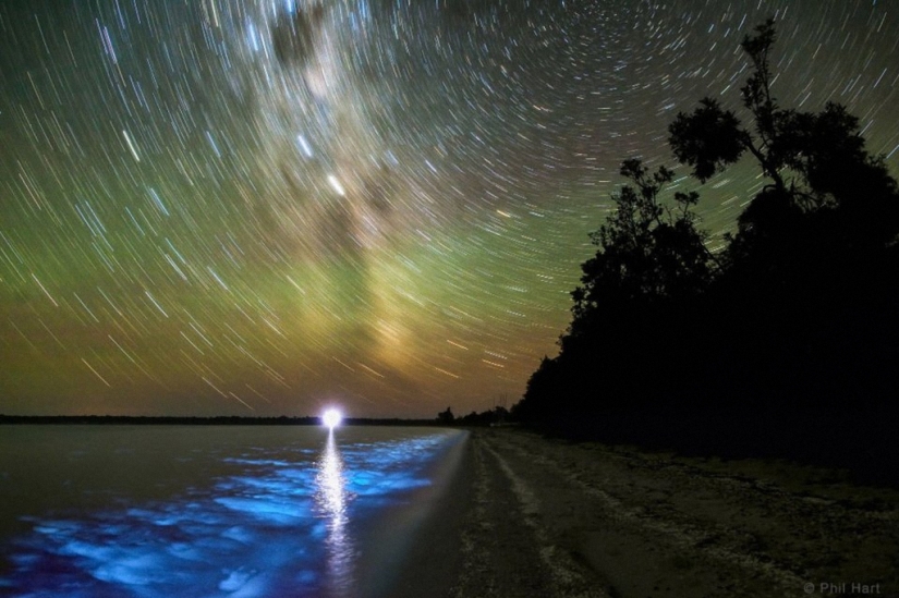 Los ganadores del concurso de fotografía &quot;Tierra y Cielo&quot;
